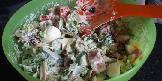 Mixed Salad