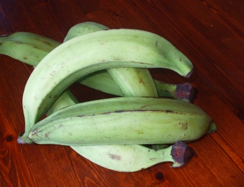 Unripe plantain